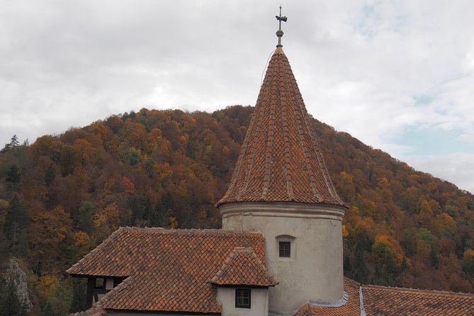 From Brasov: Discover Bran Castle and Râșnov Fortress - Getting Picked Up in Brasov (and What the Small Group Changes)