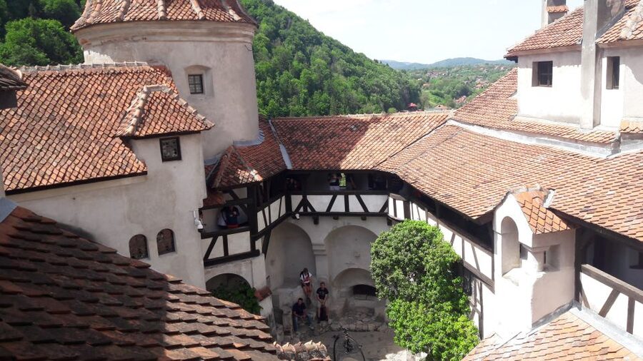 From Brasov: Peles Castle, Bran Castle & Cantacuzino Castle - Key points to know before you go