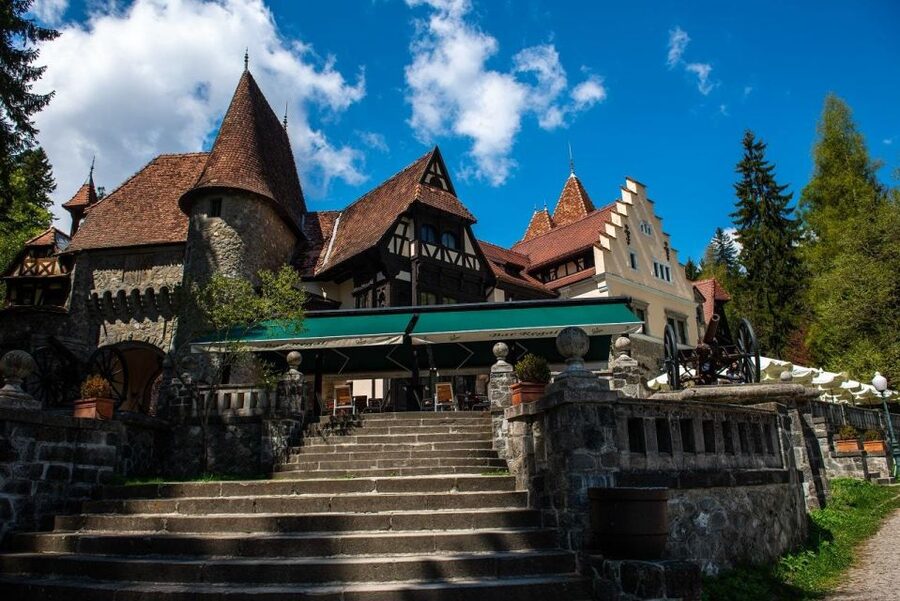 From Bucharest: Brasov Peles & Dracula's Castle Day Tour - Pickup timing and the drive that eats the day