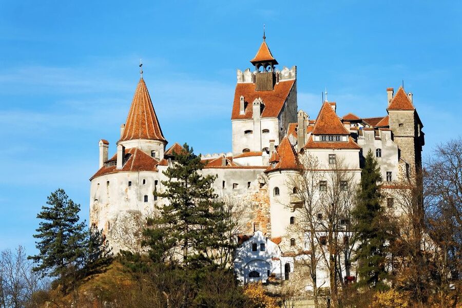 From Bucharest: Libearty Bear Sanctuary and Dracula's Castle - The Carpathian ride: scenery, talking, and how the guide keeps it moving