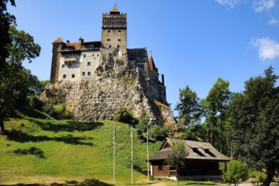 From Bucharest: Libearty Bear Sanctuary and Dracula's Castle - Libearty Bear Sanctuary in Zărnești: why this stop feels different