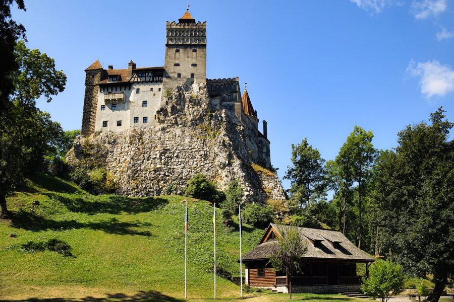 From Bucharest: Libearty Bear Sanctuary and Dracula's Castle - Libearty Bear Sanctuary in Zărnești: why this stop feels different