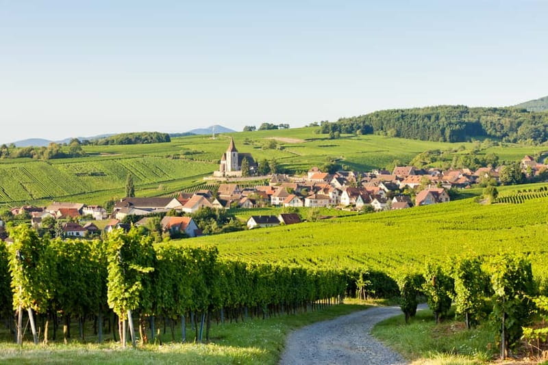 From Colmar: Haut-Koenigsbourg Castle and Villages Day Tour - Riquewihr Free Time and the Turckheim Photo Route