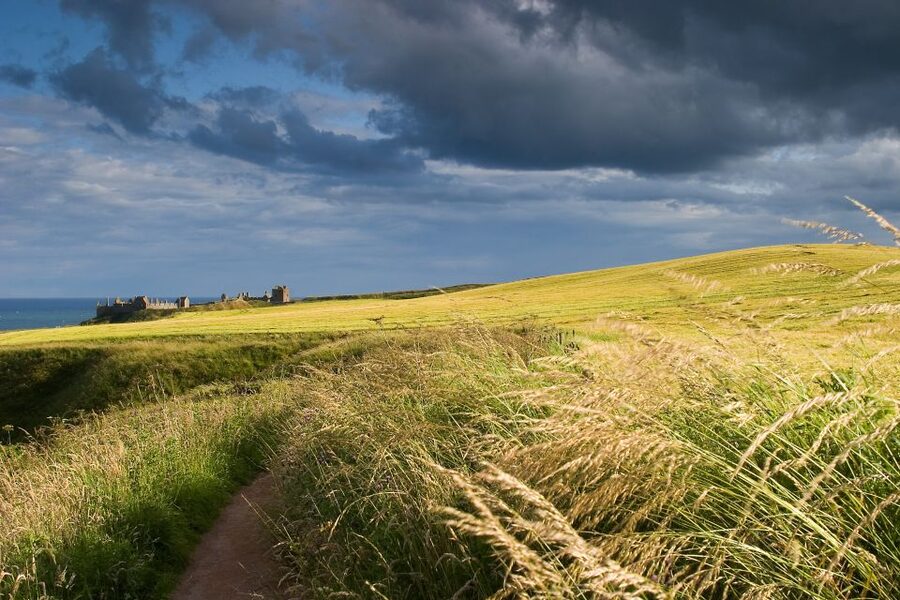 From Edinburgh: Glamis and Dunnottar Castles Tour in Italian - Key highlights worth clocking before you go