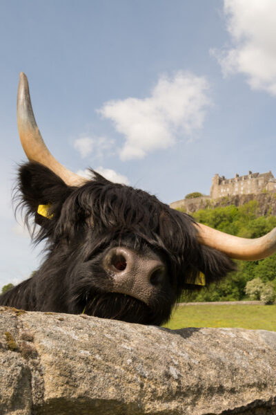 From Edinburgh: Loch Lomond, Stirling Castle & Kelpies Tour - The Kelpies: when Scottish folklore turns into metal