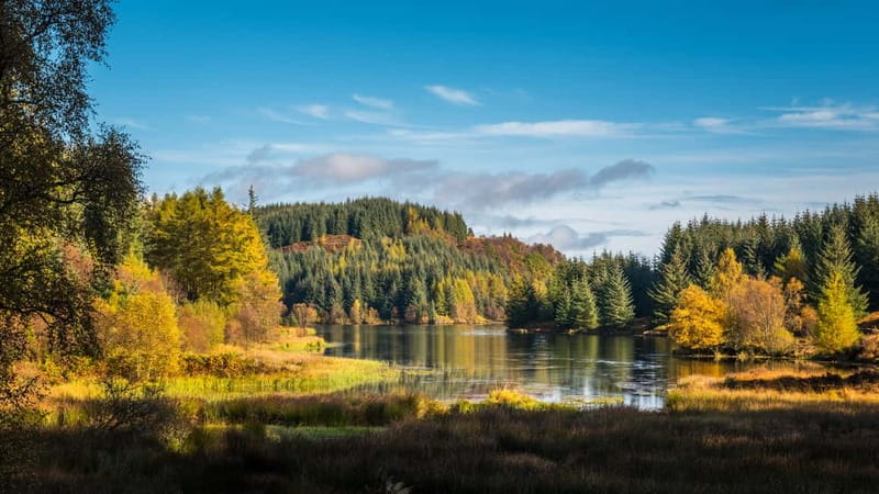 From Edinburgh: Stirling Castle, Kelpies and Loch Lomond - Loch Lomond and the Trossachs: Balloch and optional time on the water