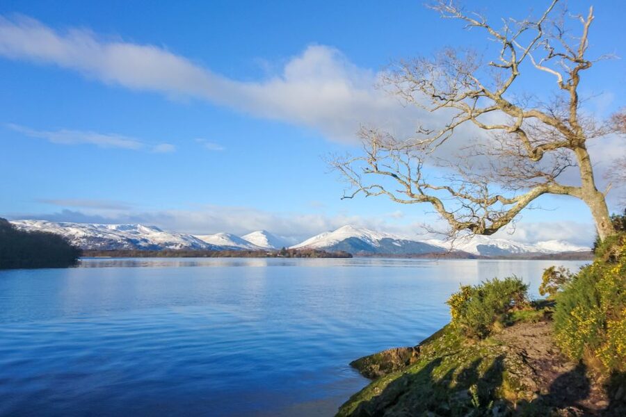 From Edinburgh: Stirling Castle, Loch Lomond & Whisky Tour - Who this tour suits best (and who should skip it)