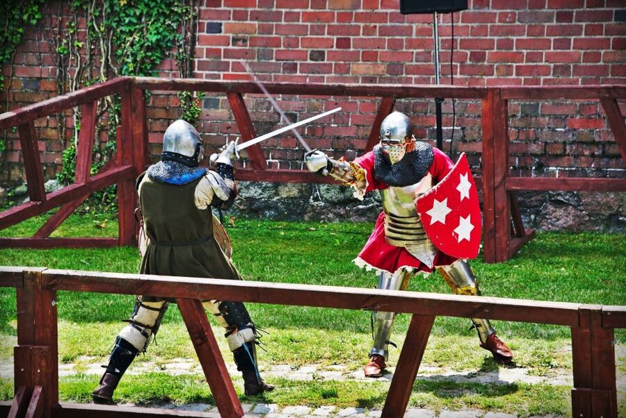 From Gdansk: Malbork Castle Half-Day Private Tour - Key highlights at a glance
