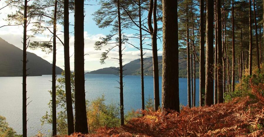 From Glasgow: Stirling Castle & Loch Lomond Tour with Cruise - Key Things That Make This Tour Feel Worth Your Day