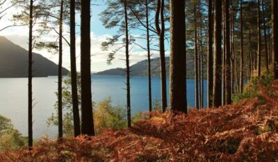 From Glasgow: Stirling Castle & Loch Lomond Tour with Cruise - Stirling Castle: The Key to Scotland and Why the Visit Lands