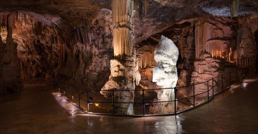 From Koper: 5-Hour Tour to Postojna Cave & Predjama Castle - The Wildlife Stop: Olms, Endangered Species, and Why It Matters