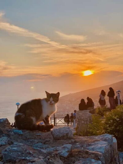 From Ksamil & Sarande: Blue eye & Lekursi Castle SUNSET - What you actually do around the spring