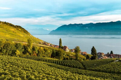 From Lausanne: Montreux, Chaplin, and Chillon Castle Tour - Chaplin’s World in Vevey: where film scenes become real rooms