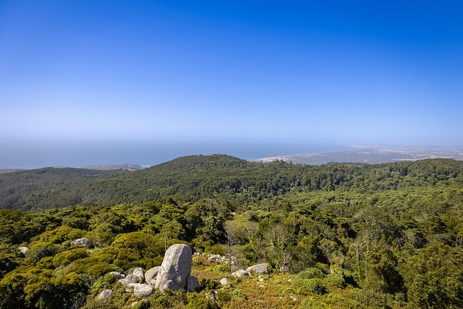From Lisbon: Sintra, Pena Palace and Regaleira - Lunch in Sintra’s historic center: built-in break, local food focus