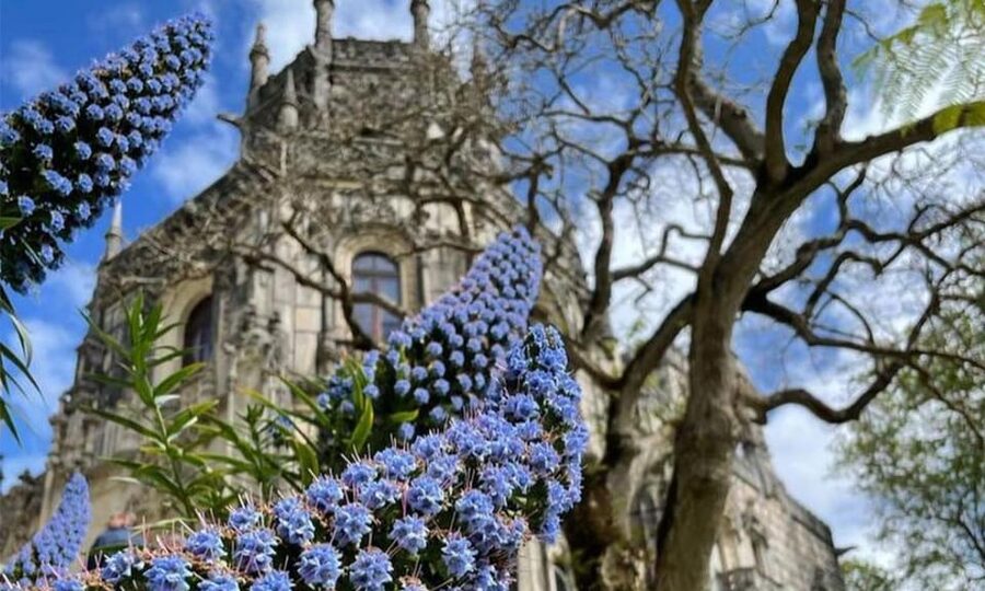 From Lisbon: Sintra, Pena Palace and Regaleira Day Trip - Price and value at $64: what you get, what you’ll pay extra