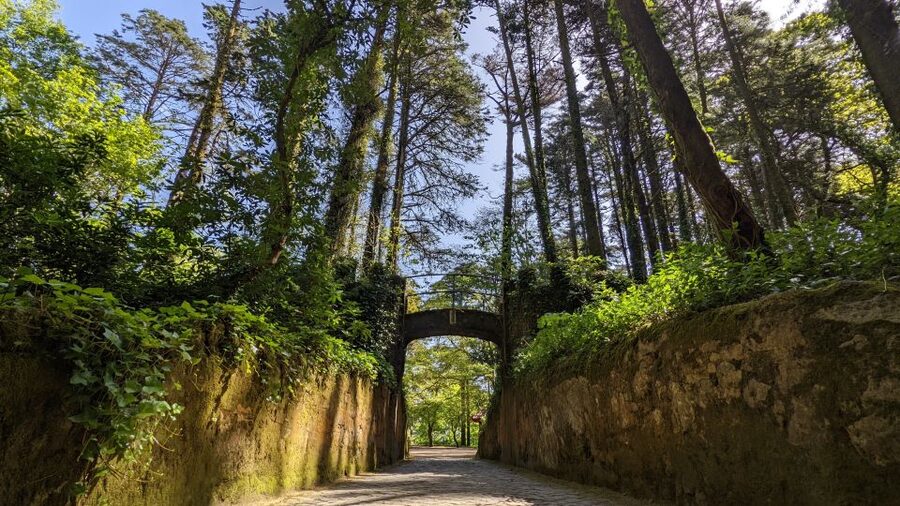 From Lisbon: Sintra Pena Palace Cascais 8-People Group Tour - Who should book this Sintra and Cascais day trip?