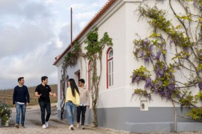 From Lisbon: Sintra & Pena Palace Day Trip with Wine Tasting - Pena Palace surroundings: Romantic gardens and picture-worthy details