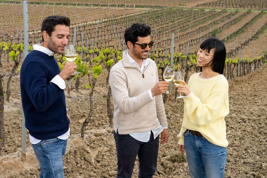 From Lisbon: Sintra & Pena Palace Day Trip with Wine Tasting - Group size and timing: how the small-team format works