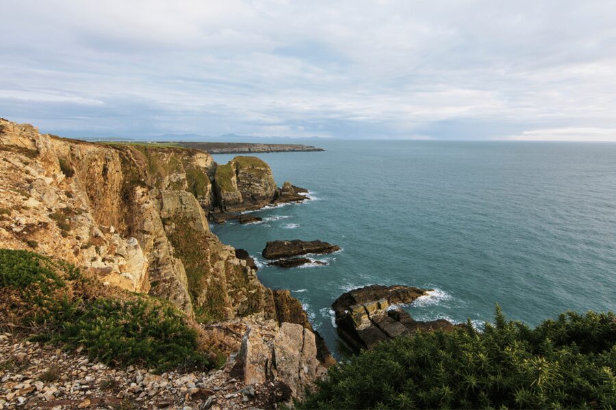 From Liverpool: North Wales and Caernarfon Castle Tour - Conwy: Seaside Town Break and How to Use Your Hour