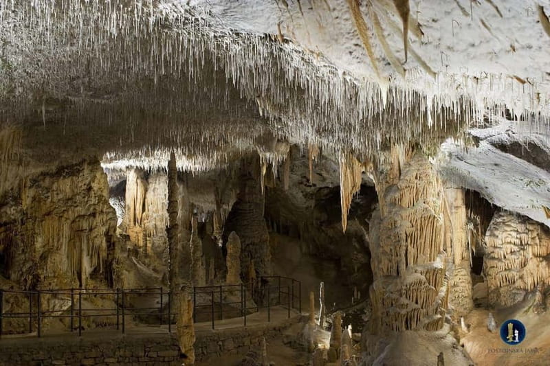 From Ljubljana: Postojna Cave, Predjama Castle, & Piran Tour - A Small-Group Day From Ljubljana That Actually Feels Manageable