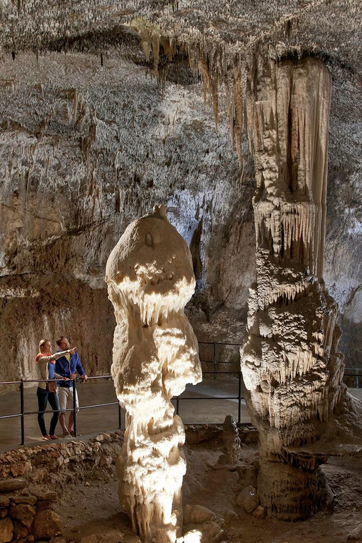 From Ljubljana: Postojna Cave, Predjama Castle, & Piran Tour - Transportation, Group Size, and the Comfort Details That Matter