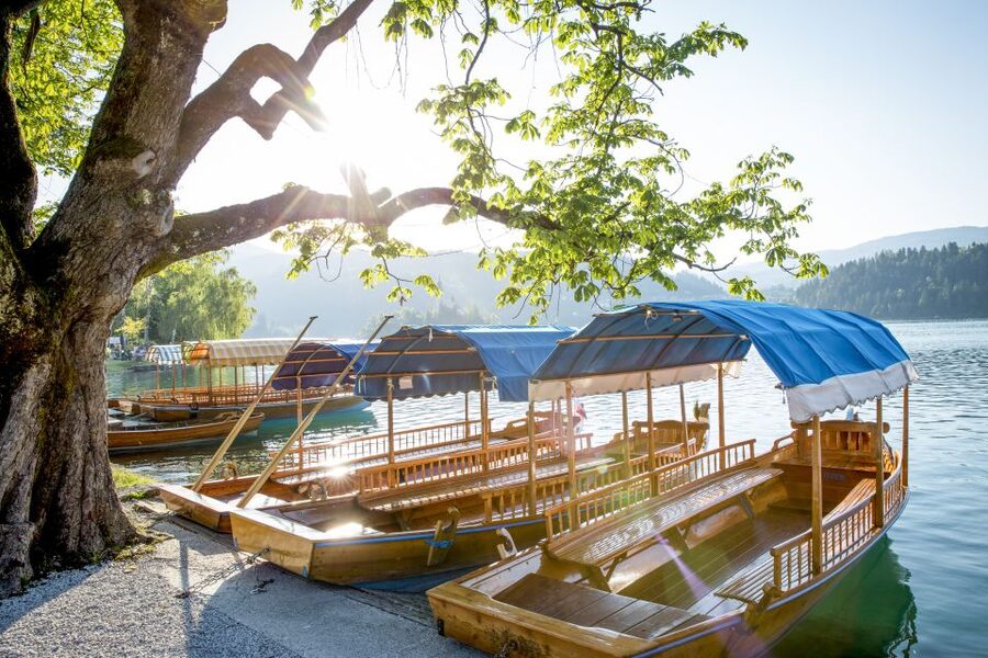 From Ljubljana: Trip to Lake Bled and Bled Castle - Cost reality check: what the ticket math really looks like