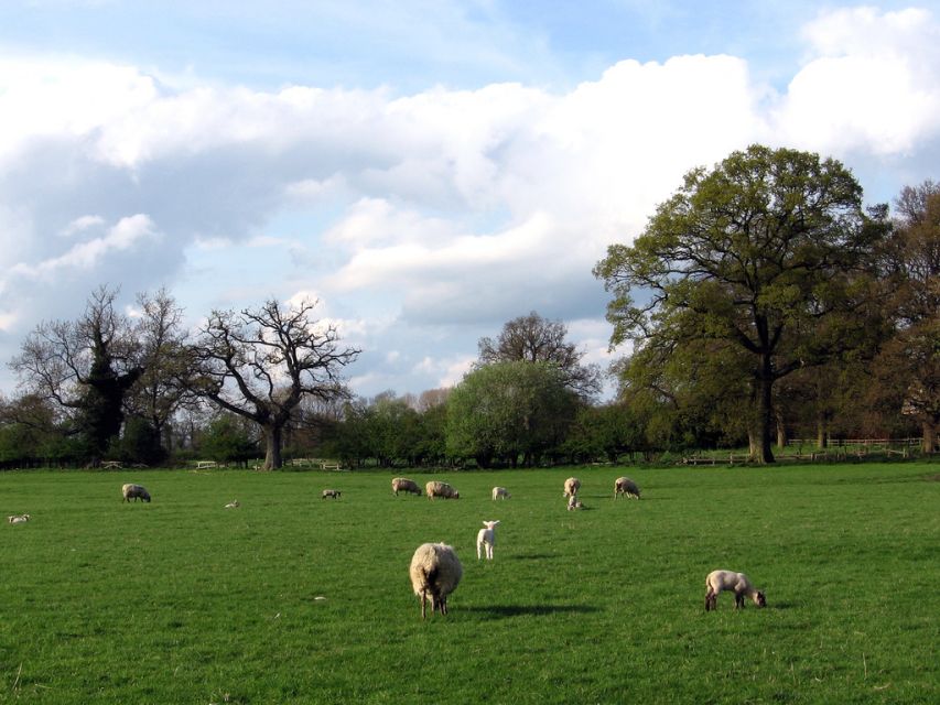 From London: Oxford, Stratford-upon-Avon & Cotswolds Trip - Price and logistics: what $101 gets you, and what it doesn’t