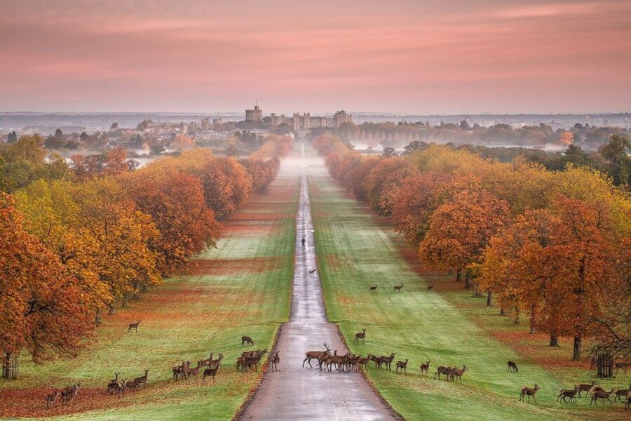 From London: Windsor Castle Afternoon Sightseeing Tour - St. George’s Chapel: royal burials and timing you must respect