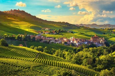 From Milan: Barolo Wine Tasting, Alba Tour and Castle Visit - The van ride plan (and what to expect during it)