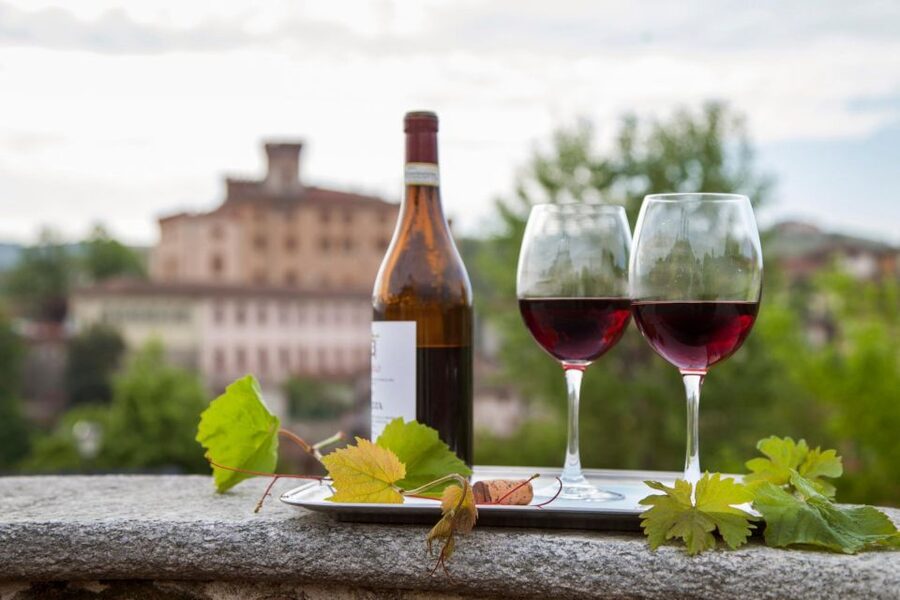 From Milan: Barolo Wine Tasting, Alba Tour and Castle Visit - How much wine is enough (and how to enjoy it)