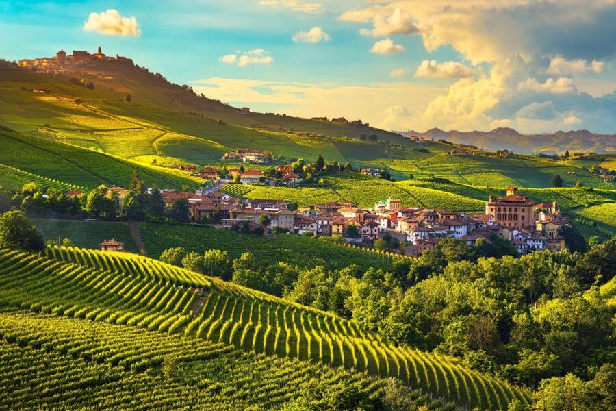 From Milan: Barolo Wine Tasting, Alba Tour and Castle Visit - The van ride plan (and what to expect during it)