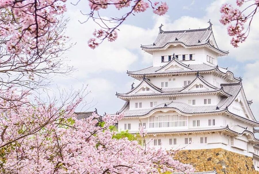 From Osaka: Himeji Castle, Arima Onsen & Mt. Rokko Day Tour - Key highlights to focus on