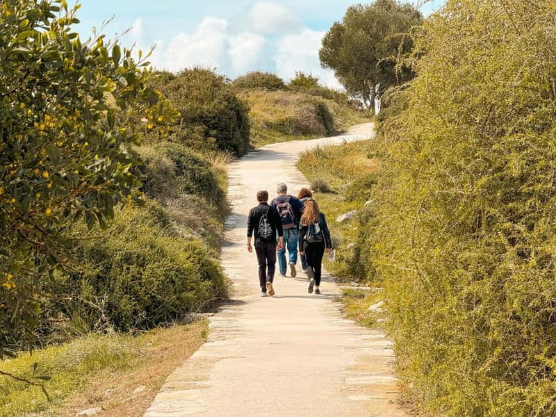 From Paphos: Trip to Limassol with Kourion & Kolossi Castle - Aphrodite’s Rock: a 10-minute coastal photo stop with big payoff