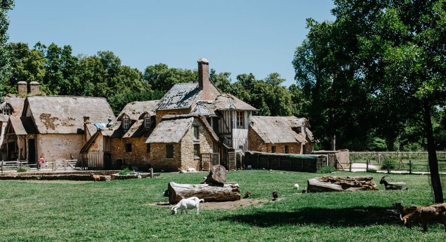 From Paris: Bike Tour to Versailles with Timed Palace Entry - Train to Versailles: why a small group changes the whole feel