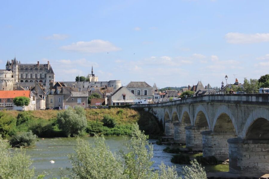From Paris: Loire Valley Castles & Orleans Guided Tour - Who This Tour Suits Best