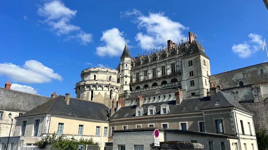 From Paris: Loire Valley Castles & Orleans Guided Tour - Amboise and Leonardo da Vinci: Royal Power Meets River Views