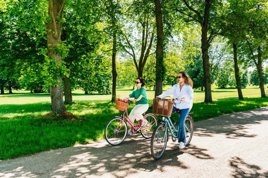 From Paris: Skip-the-Line Palace of Versailles Bike Tour - The Château visit: what skip-the-line priority changes