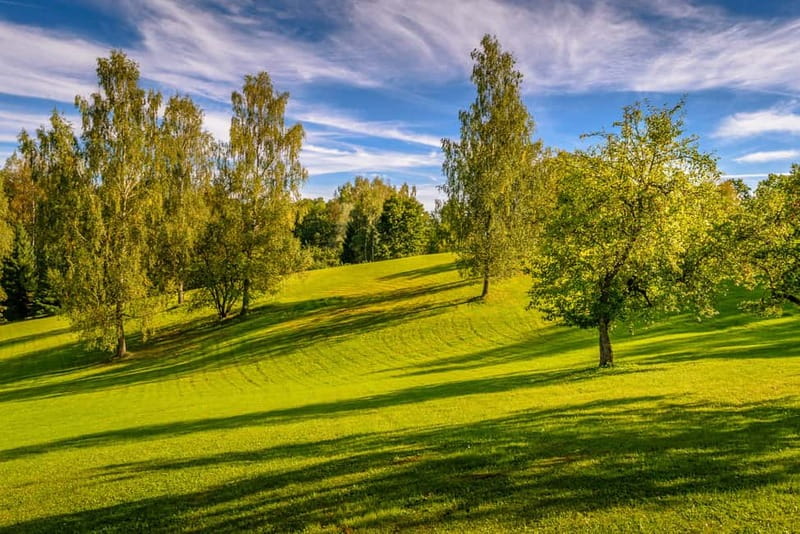 From Riga: Cēsis, Sigulda & Turaida Castle Tour - Sigulda and Gauja National Park, Where the View Does Half the Work