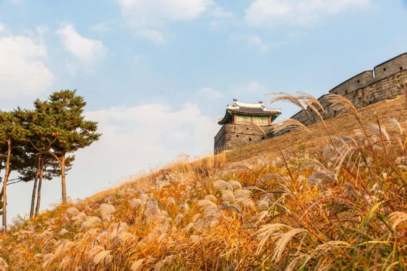 From Seoul: Suwon Hwaseong Fortress & Folk Village Tour - A smooth day trip that starts where you’re already staying