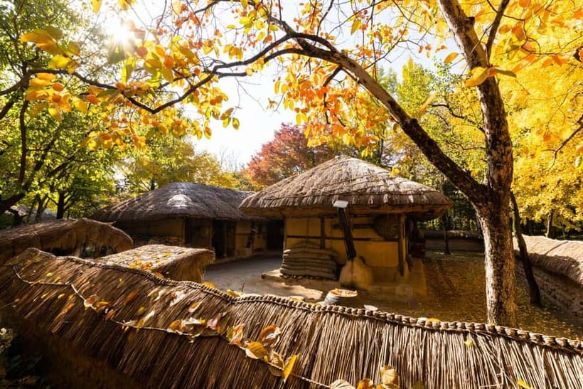 From Seoul: Suwon Hwaseong Fortress & Folk Village Tour - What to bring (and how to make the walking easier)
