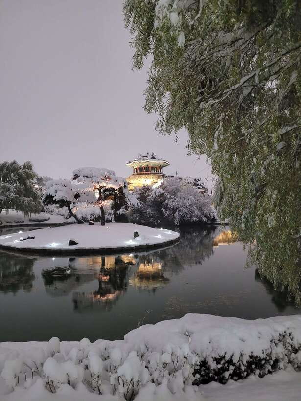 From Seoul: Suwon Hwaseong Fortress Night Tour - A UNESCO Walled City at Blue Hour: What Makes This Tour Work