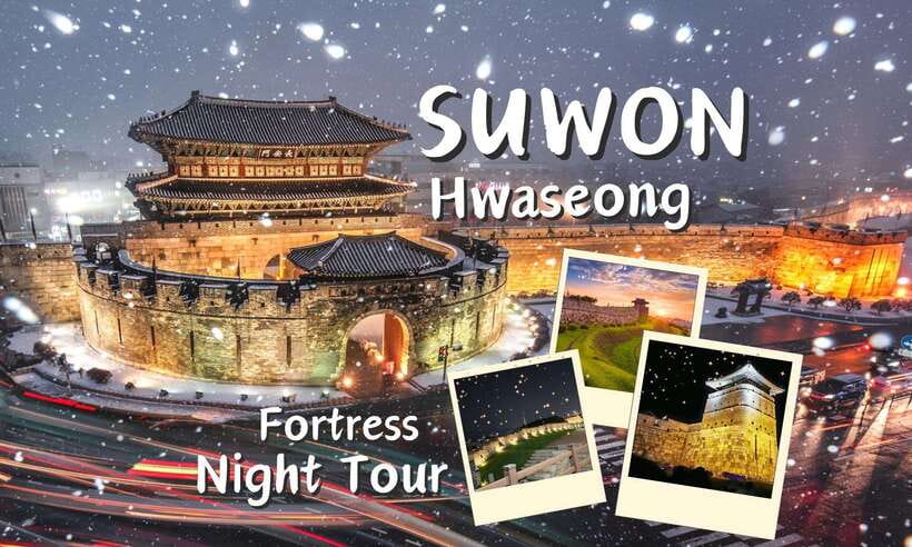 From Seoul: Suwon Hwaseong Fortress Night Tour - Walking the Fortress Walls With Night Lighting and City Views