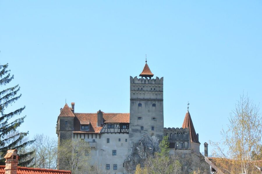 From Sibiu: Day Tour to Brasov and Dracula's Castle - Key Highlights Worth Your Attention