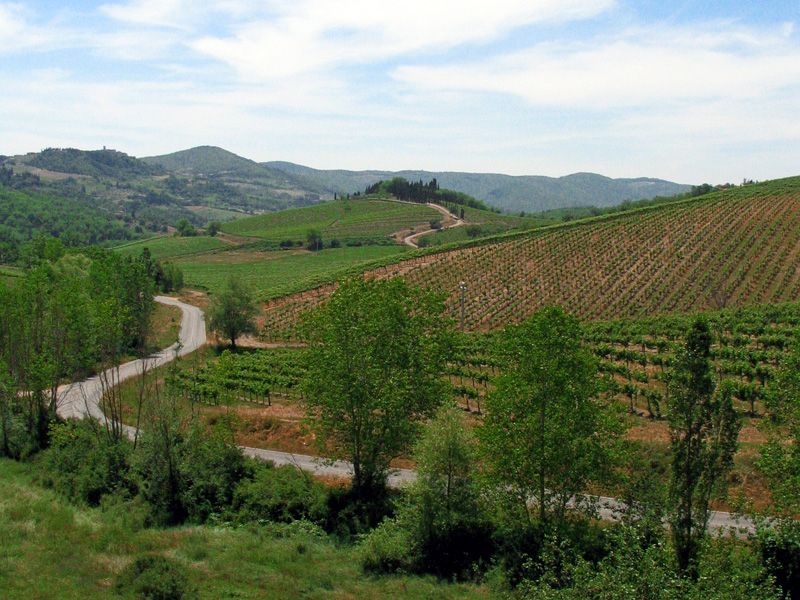 From Siena: Chianti and Castles Tour with Wine Tastings - Who Should Book This Tour (and Who Should Skip It)