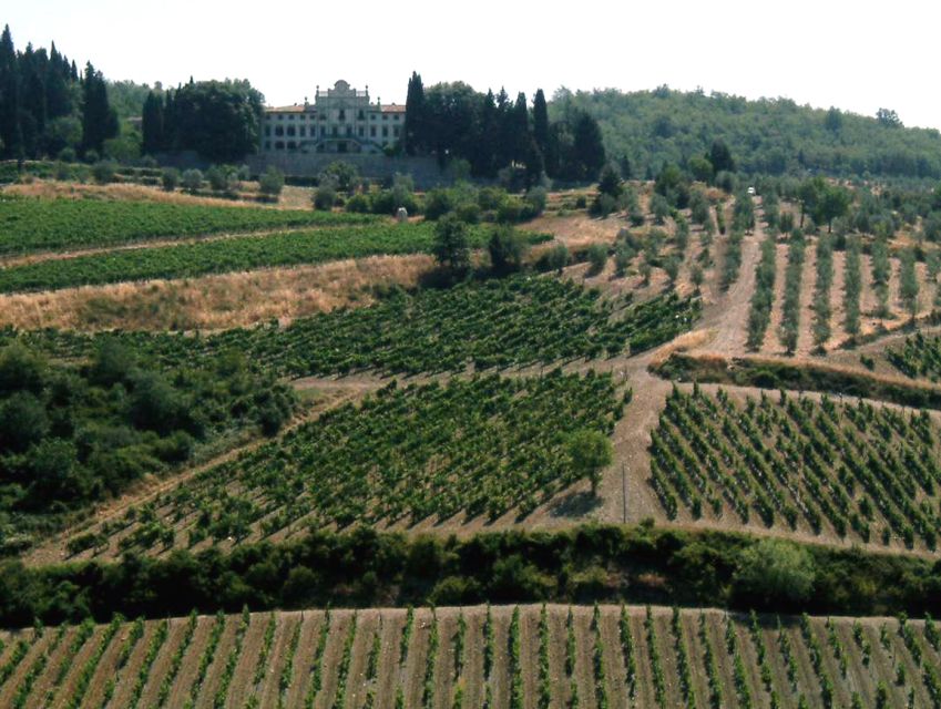 From Siena: Chianti and Castles Tour with Wine Tastings - Why This 5-Hour Chianti Tour From Siena Works