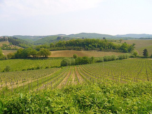 From Siena: Chianti and Castles Tour with Wine Tastings - Winery Stop Two: A Different Style of Tasting Experience
