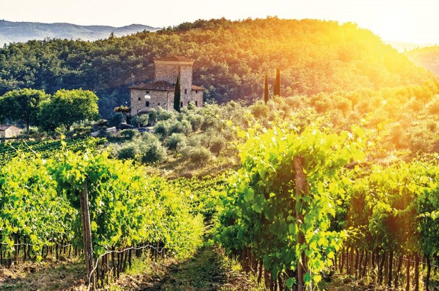 From Siena: Chianti and Castles Tour with Wine Tastings - Value Check: Two Tastings, Two Towns, One Clean Plan