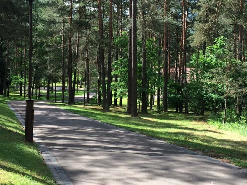 From Vilnius: Trakai Castle and Paneriai Memorial Tour - Quick Practical Tips So Your Day Goes Smoothly
