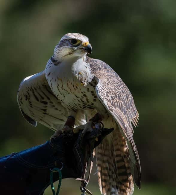 From Windermere: Mountain Passes & Muncaster Castle - Medieval Weapons Hall: axe throwing and crossbow activities