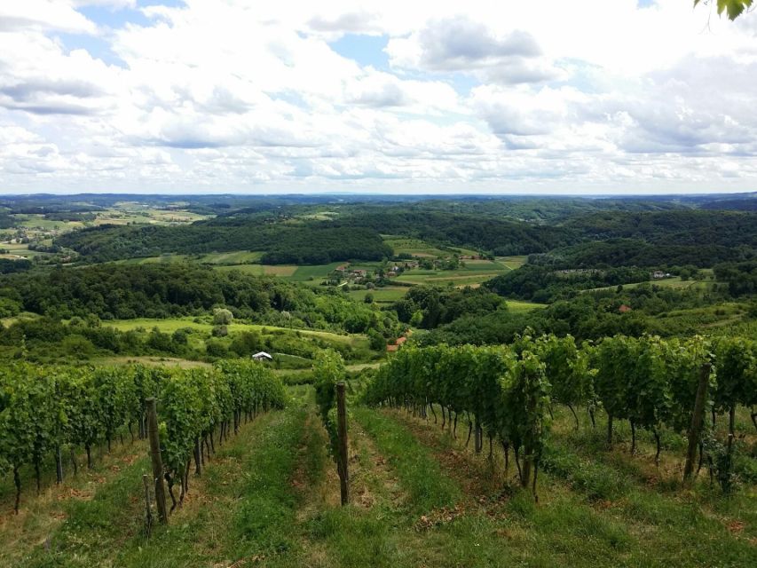 From Zagreb: Fairytale Castle & Wine Tasting & Lunch - Zagorje is the secret ingredient behind this day trip